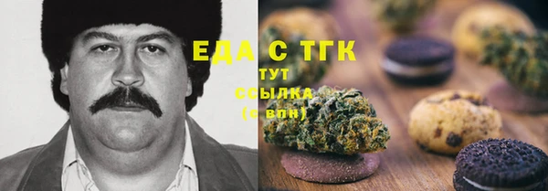 индика Аркадак