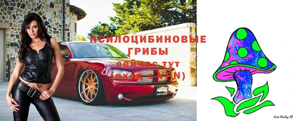 Альфа ПВП Баксан