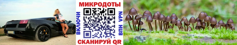 сайты даркнета как зайти  купить  сайты  Новодвинск  Галлюциногенные грибы мухоморы 
